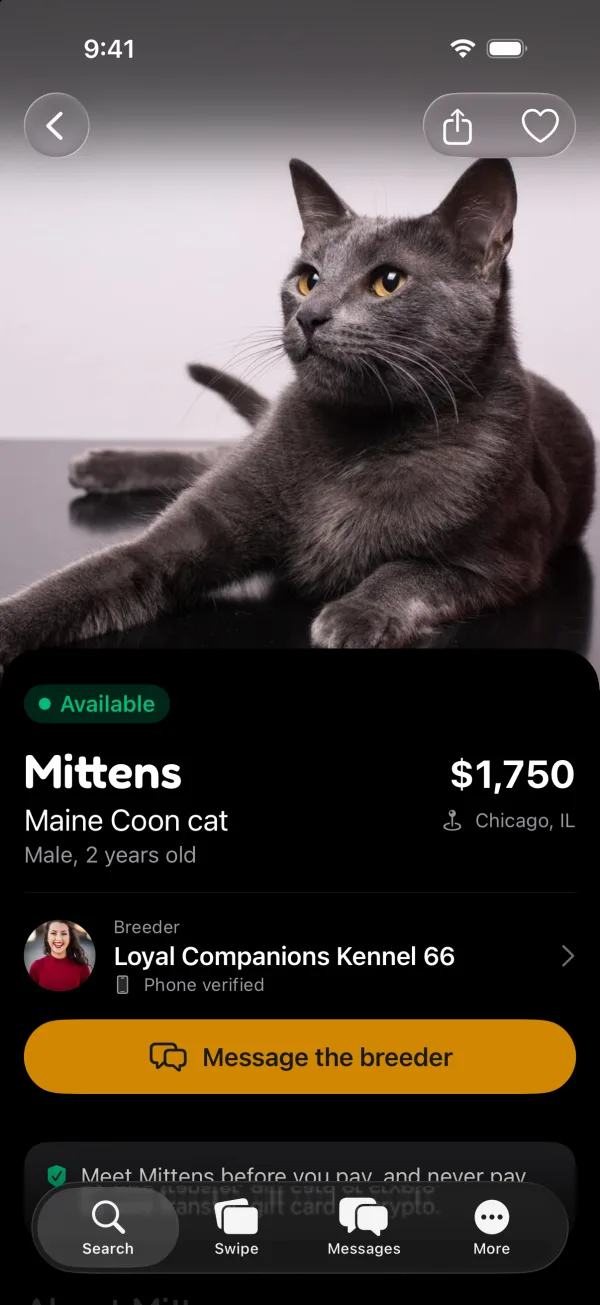 A cat's page in the Furizzma app, in dark mode